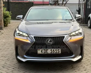 Lexus NX 2014 Gray