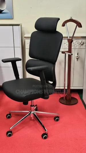Executive Orthopaedic Office Chair