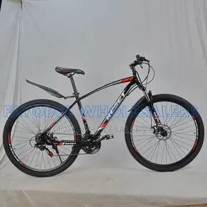 Reset 29er Off-Road Mountain Bike