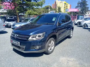 Volkswagen Tiguan 2014 Blue
