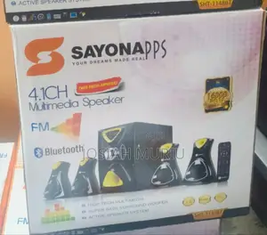 Sayona16000 W Sound System