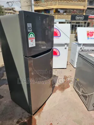 Lg Elagant and Smart Nofrost Fridge