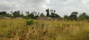Prime (0.70 Hectare) Plot for Sale in Kimbimbi Karoti Kirinyaga