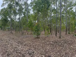 2no.Plots 100x100 Rangau