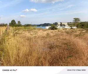 Plot for Sale