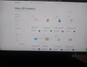E-Commerce Development