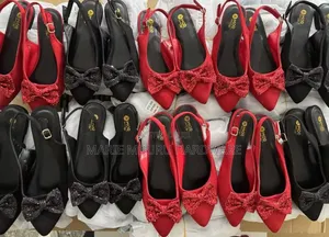 Shoes of Lady's