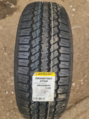 265 /60 R20 Dunlop Tires (Japan)
