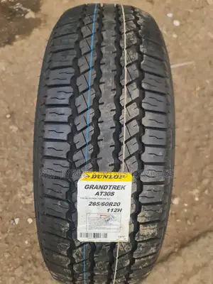 265 /60 R20 Dunlop Tires (Japan)