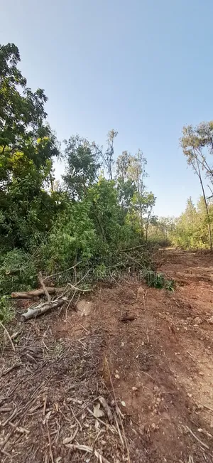 For Sale 1 Acres Several Plots Mombasa