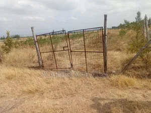 Land for Sell