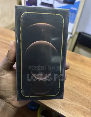 New Apple iPhone 12 Pro 256 GB Gray