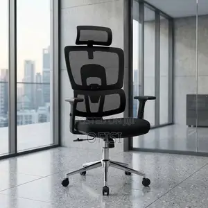Office Chair; Ergonomic Orthopedic Office Chair