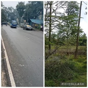 Half Acre Pangani