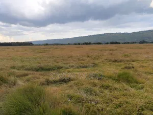 Olkalou Kariamu Prime 82 Acres Kirima Scheme