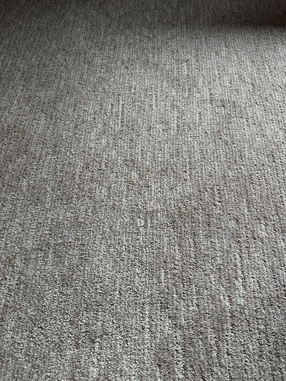 Delta Wall to Wall Carpet Professional Flooring for Corporate