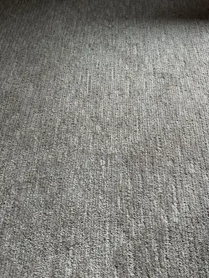 Delta Wall to Wall Carpet Professional Flooring for Corporate