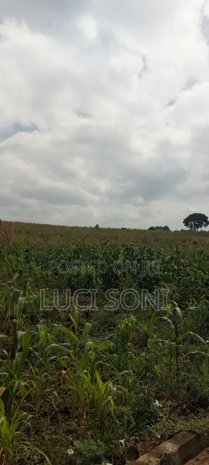 1 Acre Land for Sale in Kitusuru– (Near Kitusuru West Mall)
