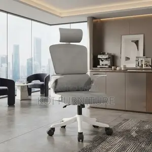 Office Chairs; Orthopedic White-Colored Office Reclining Chairs