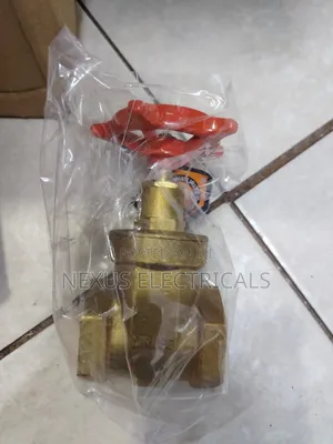 Gate Valve 1 Inch