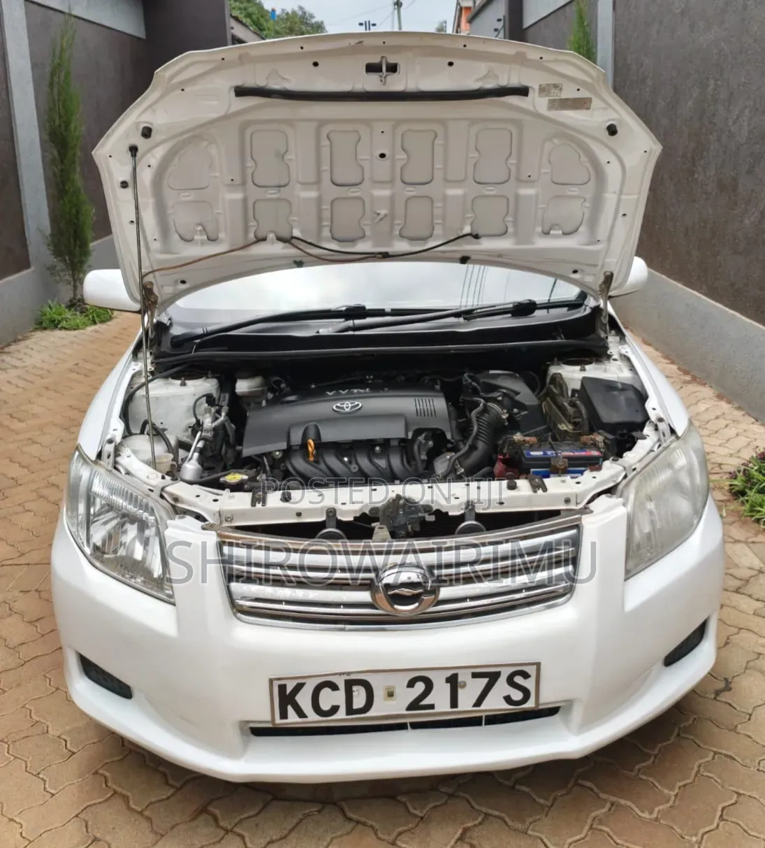 Toyota Axio 2008 Off white