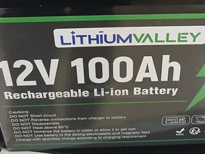 Lithium 100ah Battery