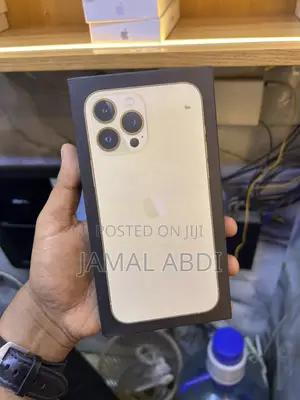 New Apple iPhone 13 Pro Max 256 GB Gold