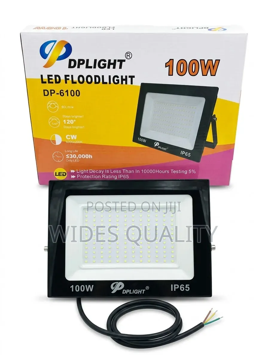 Electric 100 Watts Floodlight