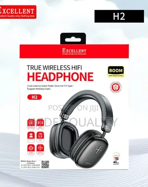 Excellent H2 True Wireless Hifi Headphone