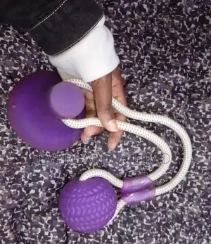 Dog Interactive Suction Cup Push Ball Toy