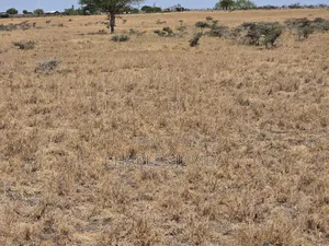 Prime 1 Acre 4km Off Isinya-Kiserian