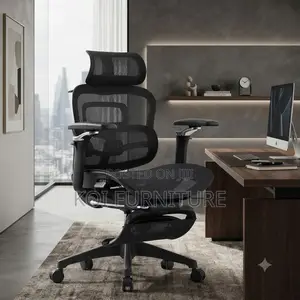 Office Chairs; Executive Style High Back Orthopedic Office Chairs