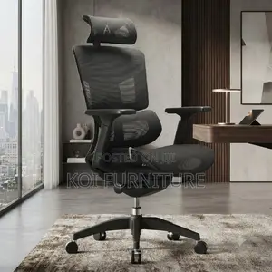 Office Chairs; Executive Style High Back Orthopedic Office Chairs