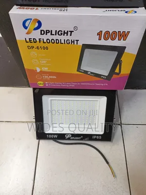 Electric 100 Watts Floodlight