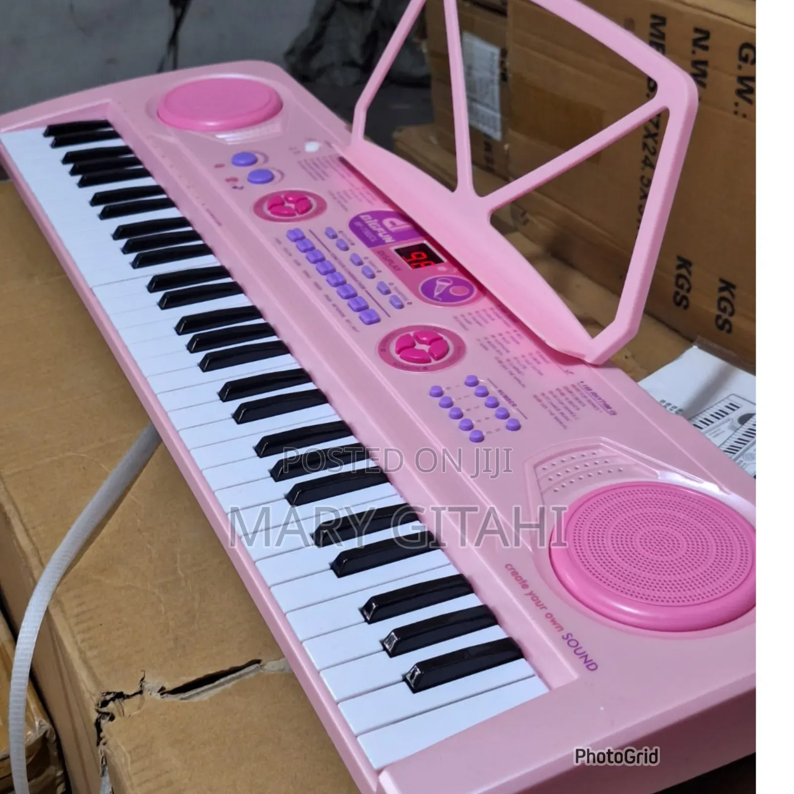 Professional Piano With in Built Battery