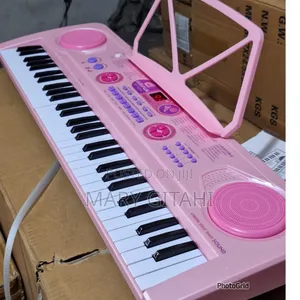 Professional Piano With in Built Battery
