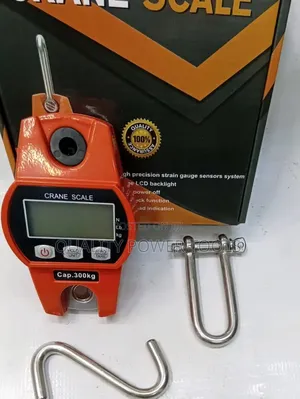 300kg Crane Scale
