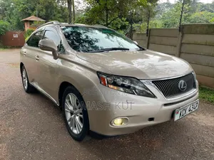 Lexus RX 2010 Gold