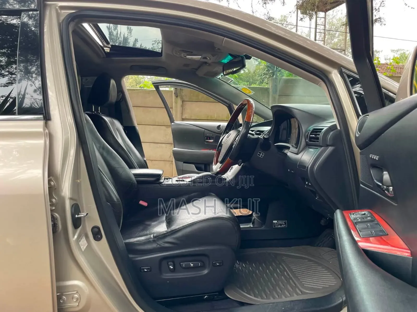 Lexus RX 2010 Gold