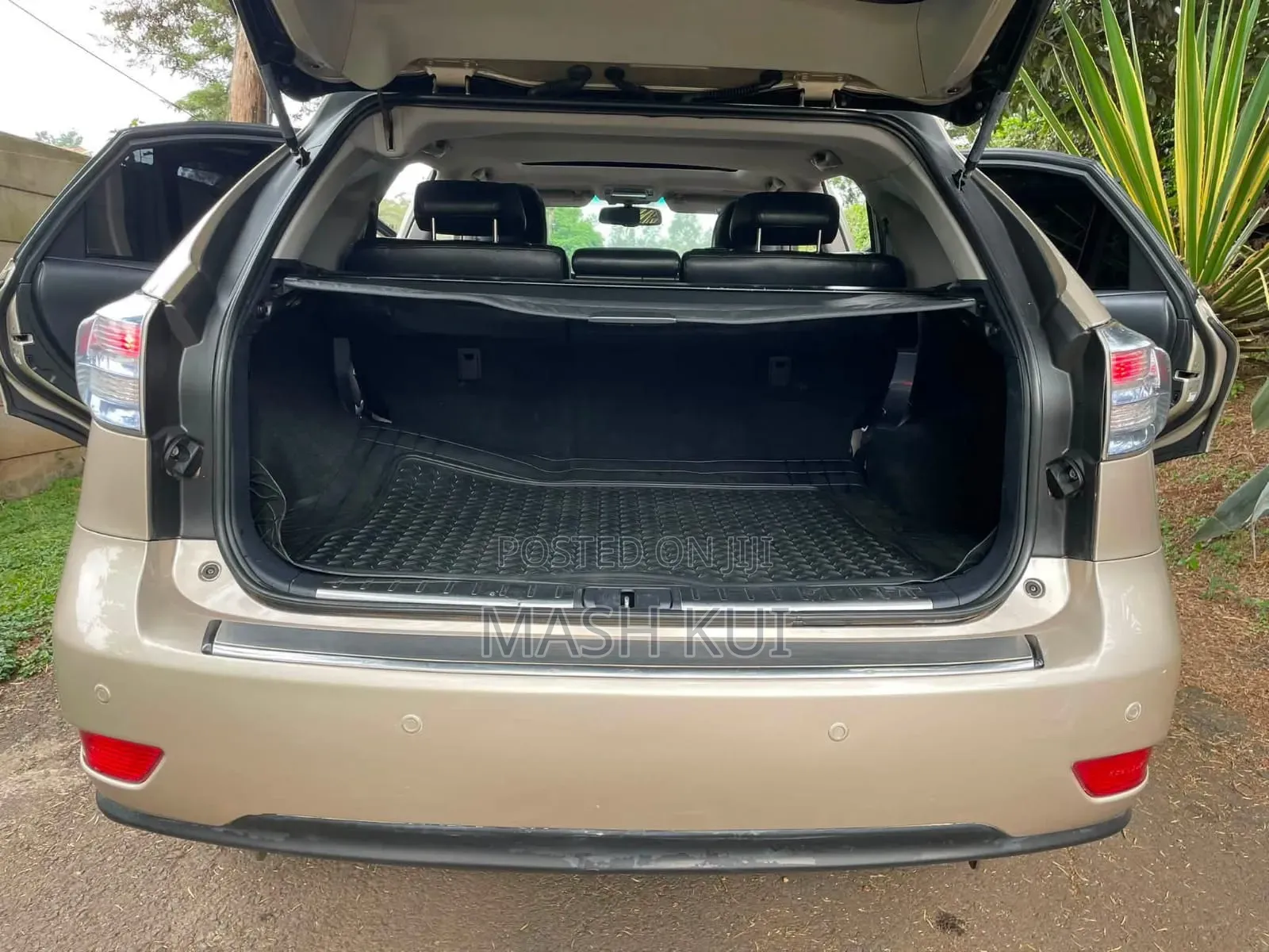 Lexus RX 2010 Gold