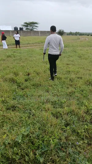 Plots and Lands for Sale