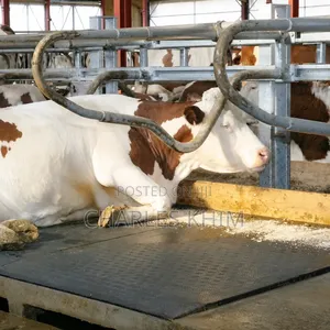Cow Mattress