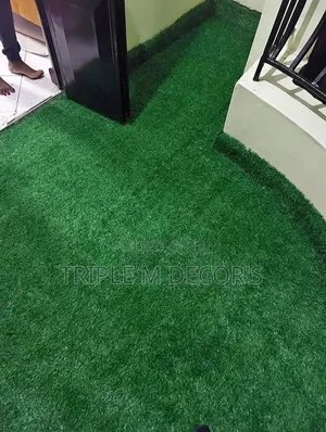 Flawless Green Grass in Scorching Heat