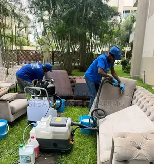 Steam Force Cleaning Services