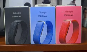 Google Fitbit Air