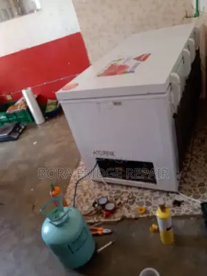 5* Fridge and Freezer Repair