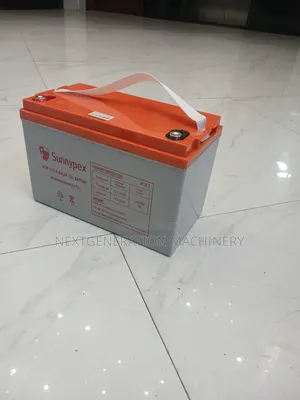 Sunnypex Deep Cycle Battery