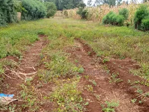 1/4 Acre Kagio Gitooini 