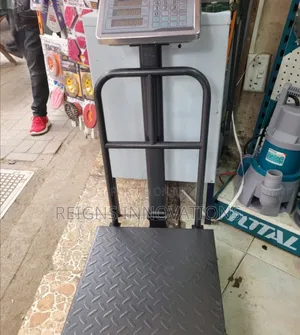 300kg Platform Scale
