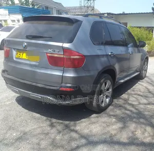 BMW X5 2008 Gray
